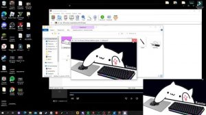 как сделать кота в обс или в дс