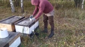 Обрабатываем пчел сублиматором щавелевой кислоты Варокиллер.ру (Василий Песоцкий, Тверская область)