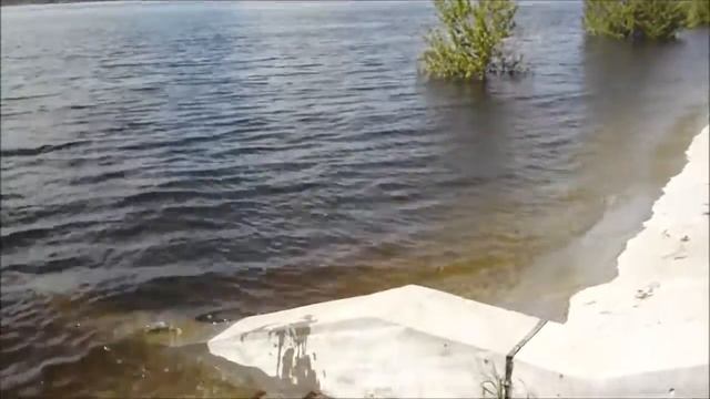 Вид на Волгу, Краснослободск, Волгоградская область 03 05 2016.