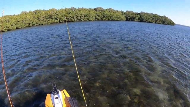 Kayak Fishing Longboat Key for Redfish, Trout, & Snook | Sarasota, FL смотреть онлайн