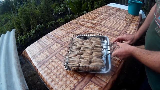 Крылышки гриль в соево---имбирном маринаде (2019)
