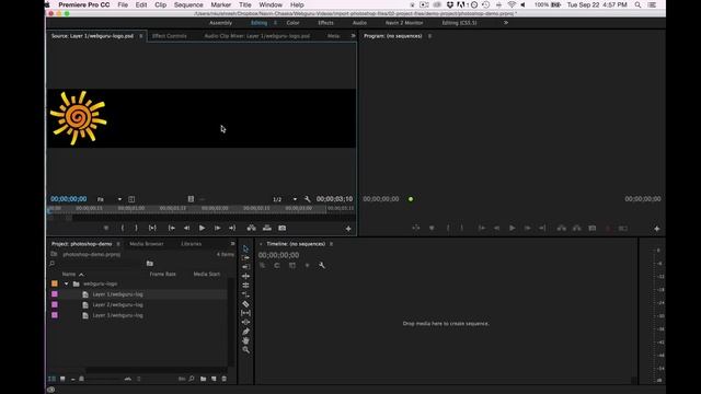 How To Import Adobe Photoshop Files into Adobe Premiere Pro CC in 2023