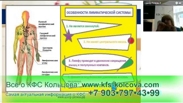 Лузгинова С.В   2017-05-03 «КФС и лимфатическая система человека» #кфскольцова
