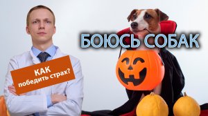 ?? Боюсь собак, а муж их очень любит, как избавиться от страха? ?