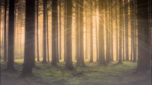 А.В.Клюев - Смысл Существования - Письма  - в нас Всем Занимается Душа !  ? 1/9