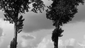 Земля | Страшная история на ночь | Черный Рик