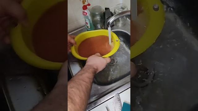 Солим щучью икру смотреть онлайн