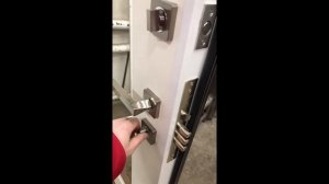 Входная дверь с зеркалом