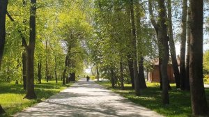 Обзор влогов \ Екатерина Сайбель \ А муж ли он или ПРОСТО СОСЕД?!