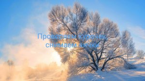 Проверяем курочек, снимаем яички