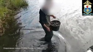 Два браконьера ответят за ловлю раков в Чувашии