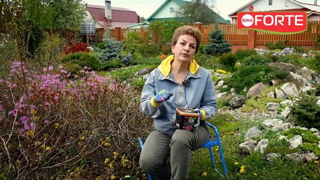 Чем подкислить почву для голубики, рододендрона и других любителей кислых почв?