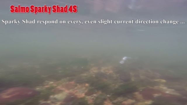 SALMO Sparky Shad - new weapon for ultralight spinning fans! смотреть онлайн