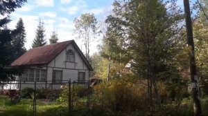 Дача, река, озеро, лес в 35 км от СПб #СветланаФилипповаСПб
