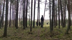 НАУКА НЕ СКУКА. ПТИЦЫ. ПОЛЕТЕЛИ