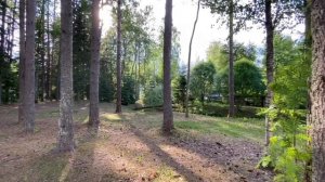 Валдай Эко Клуб лето 2021г.