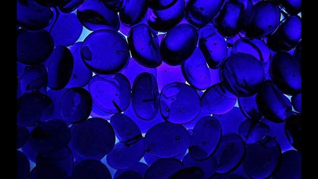 Пчелы vs Змеи смотреть онлайн