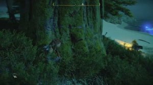 Horizon Запретный Запад: Обзорная точка - Длинный берег