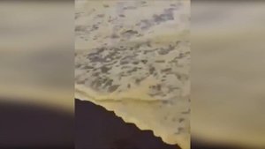 Катаклизмы за день 8 октября 2020!  Наводнения , пожары по всему миру! Изменение климата? Катастроф