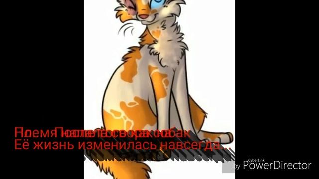 Коты воители.  Яролика и Белохвост. смотреть онлайн