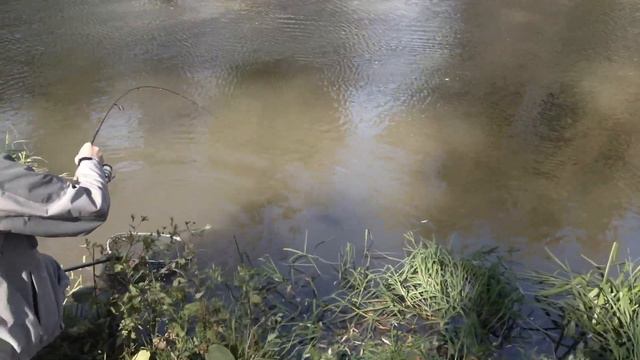 Форель на резину смотреть онлайн