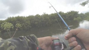 Воблер TsuYoki SWING SR 35F на реке