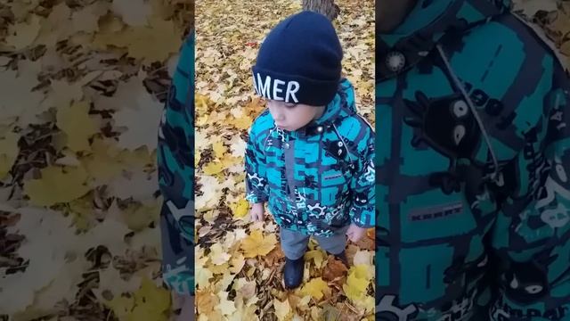 золотая волшебница осень