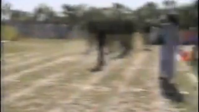 SINDH POLICE TRANING 24th Recruit Passing Out Parade 19-06-2007. PTS LARKANA (5).flv смотреть онлайн