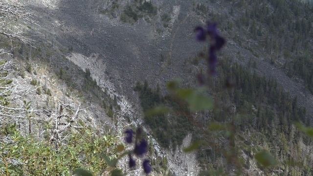 Заповедная школа РГО в Тункинском национальном парке