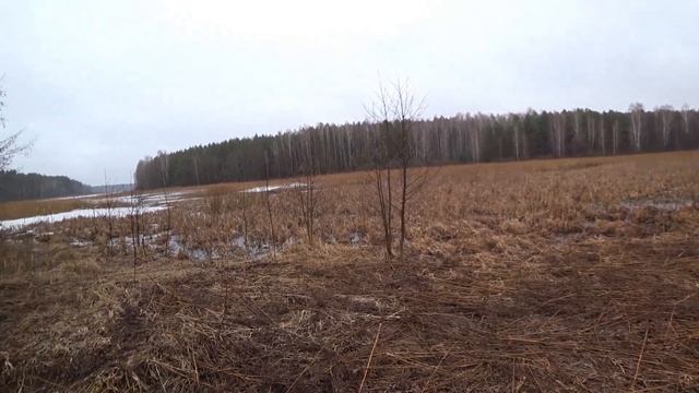 Нелегальная рыбалка | Лесной Кордон смотреть онлайн