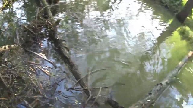 Рыбалка на летнюю мормышку,боковой кивок,спасение рыбы из сети смотреть онлайн