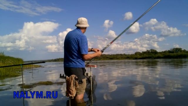 Горох, болонская удочка, рыбалка на подмосковной Оке, август 2019 смотреть онлайн