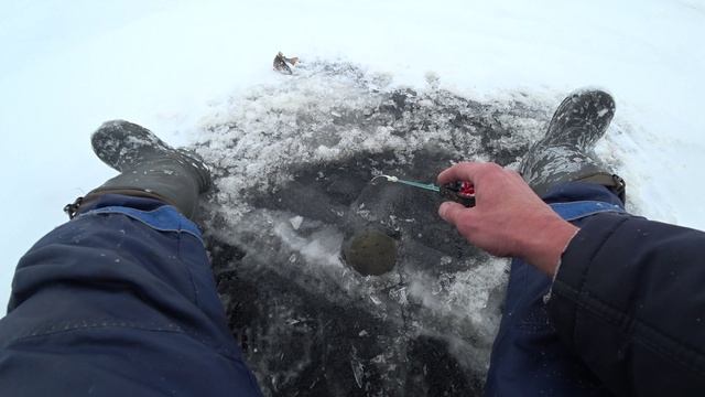 Отличная рыбалка на Рыбинском