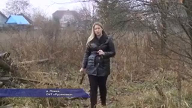 Солнечногорье побило рекорд прошлого года по пожарам