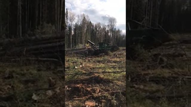 Заготовка древесины - Трелевочный трактор (скиддер) John Deere 748