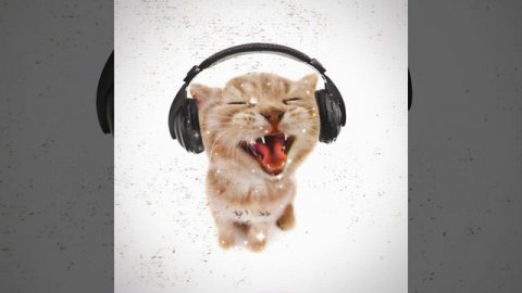 CHIPI CHIPI CHAPA CHAPA (Phonk Remix)