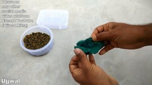 How to grow seeds within 3 Days | Plants growing easy and best techniques