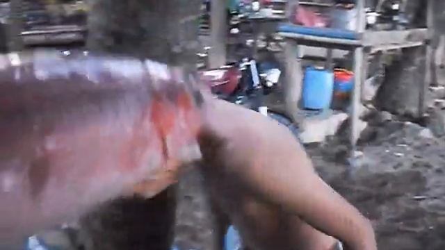 fishie fishie смотреть онлайн