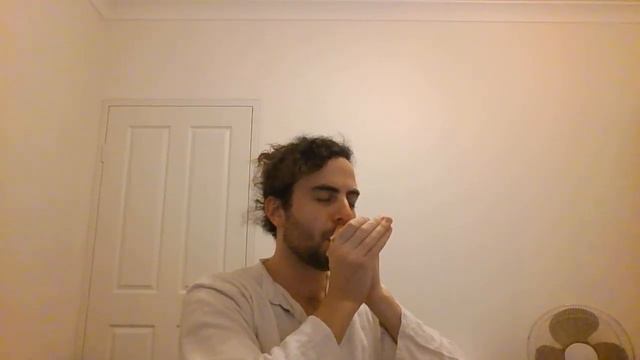 Titanic - My Heart Will Go On - Hand Flute смотреть онлайн