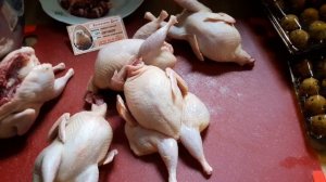 ТЕХАССКИЙ Белый перепел, важные особенности продуктивности мясной породы.