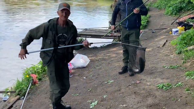 Основной водоем поимка форели смотреть онлайн