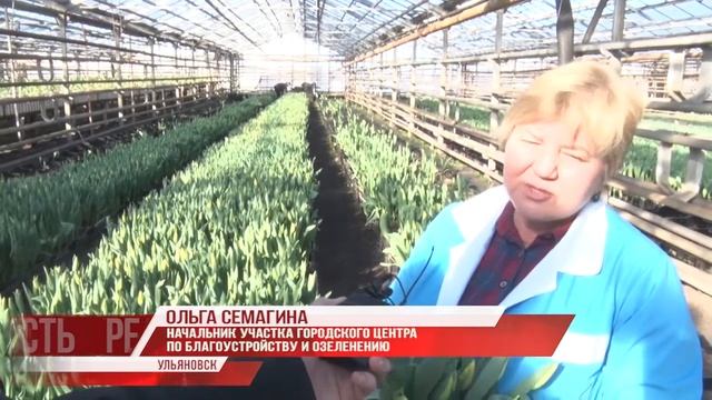 Солнышко в цветах. Символ весны смотреть онлайн