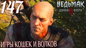 Ведьмак 3: Дикая охота. Прохождение ─ Часть 147: Игры кошек и волков