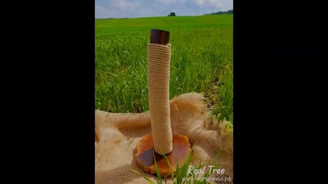 Когтеточка из ствола дерева "Real Tree - акация" смотреть онлайн