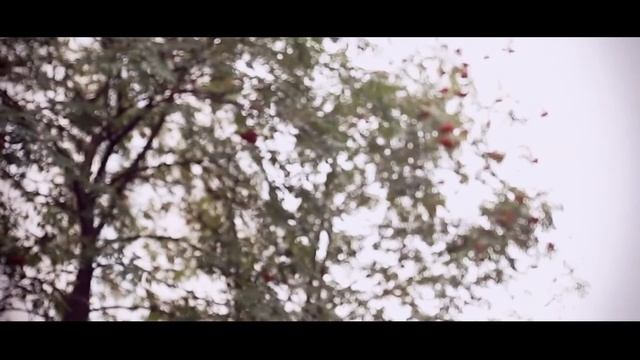 Что такое семейная свадьба? смотреть онлайн