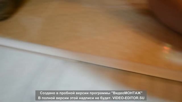 Завершение ремонта в гостиной. Праздничный ужин.