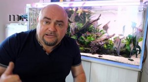 Аквариумистика. Добрые советы новичку. Химия в аквариуме.
