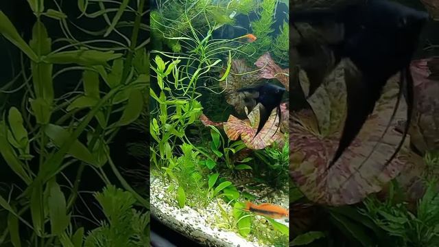 12 мая 2022 г. смотреть онлайн