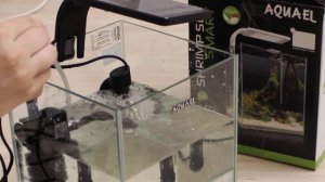 Запуск Аквариум Aquael Shrimp Set Smart Plant 10 литров