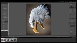 Mastering Lightroom Classic CC - 31: Print Module